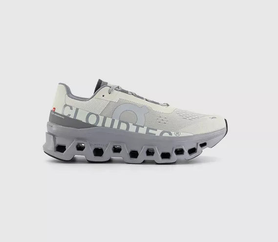 **On Cloudmonster “Ice Alloy” – Women’s Trainers**