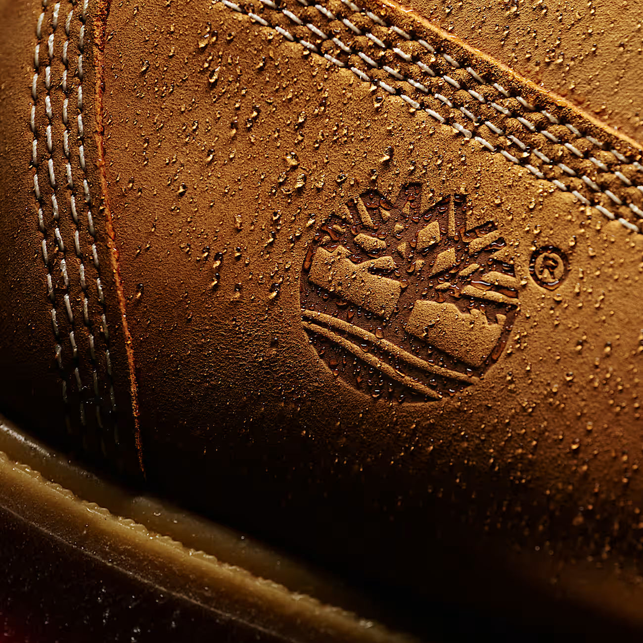 Timberland® Premium 6-Inch Waterproof Boot – Men’s Boots (Wheat)
